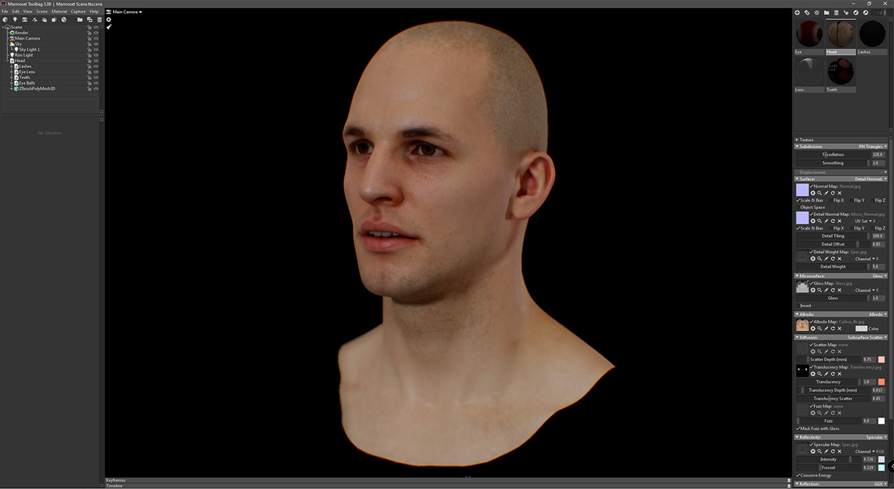 20's male  3d head model in Marmoset